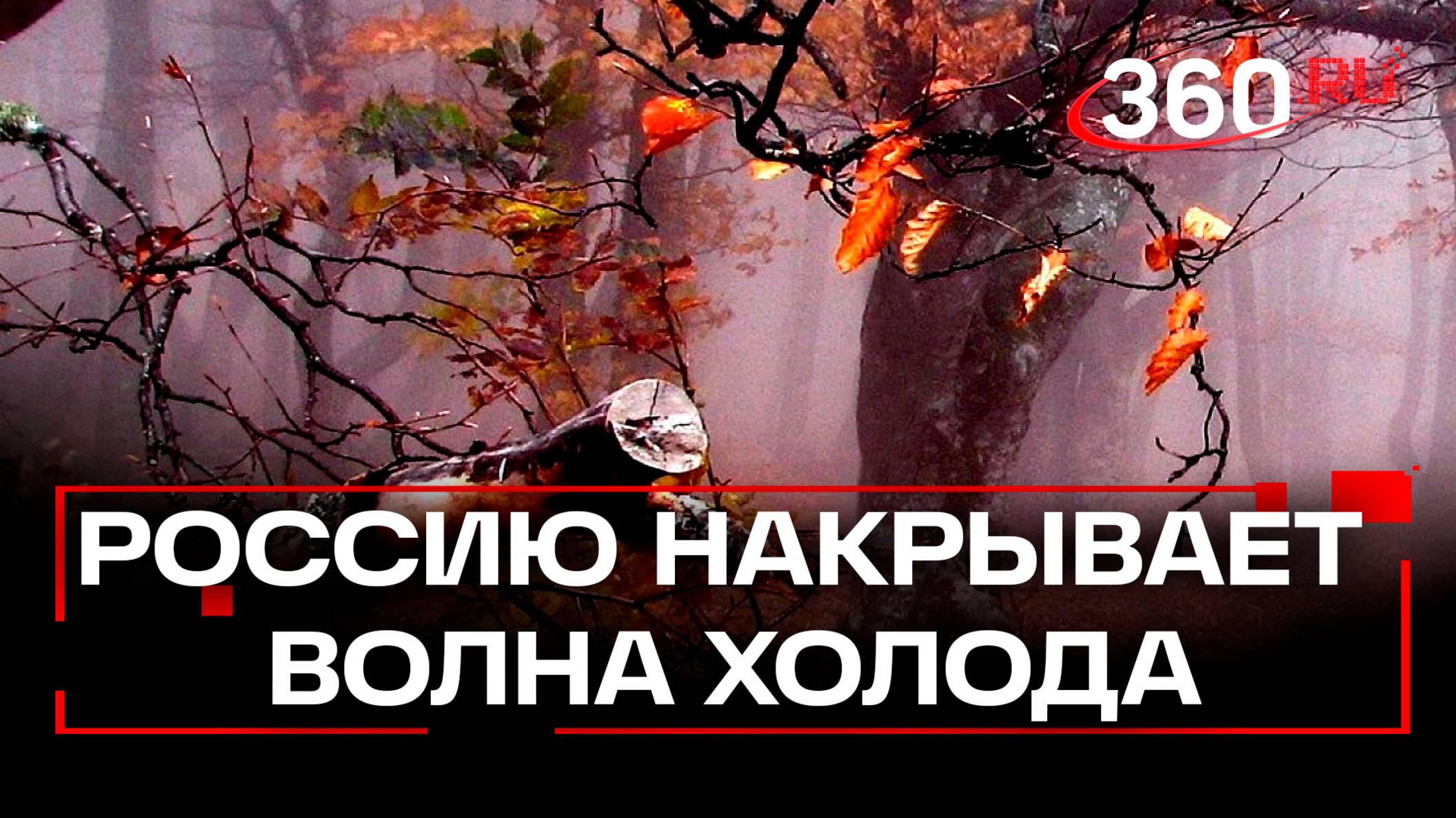 Почти во все регионы России придут заморозки