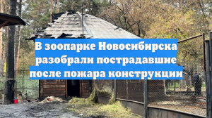 В зоопарке Новосибирска разобрали пострадавшие после пожара конструкции