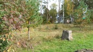 Осенняя прогулка в золотую осень ..