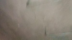 VID_20250731_202451.mp4