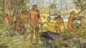 Назад в леса (гр. Скандал)