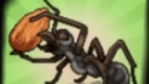 я создал свою колонию муравьёв