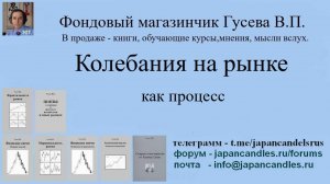 2025-09-27 курс колебания как процесс