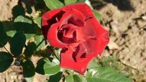 22==09==2025  ПВН  КМР   (204)