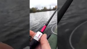 Рыбалка на спинниг осенью