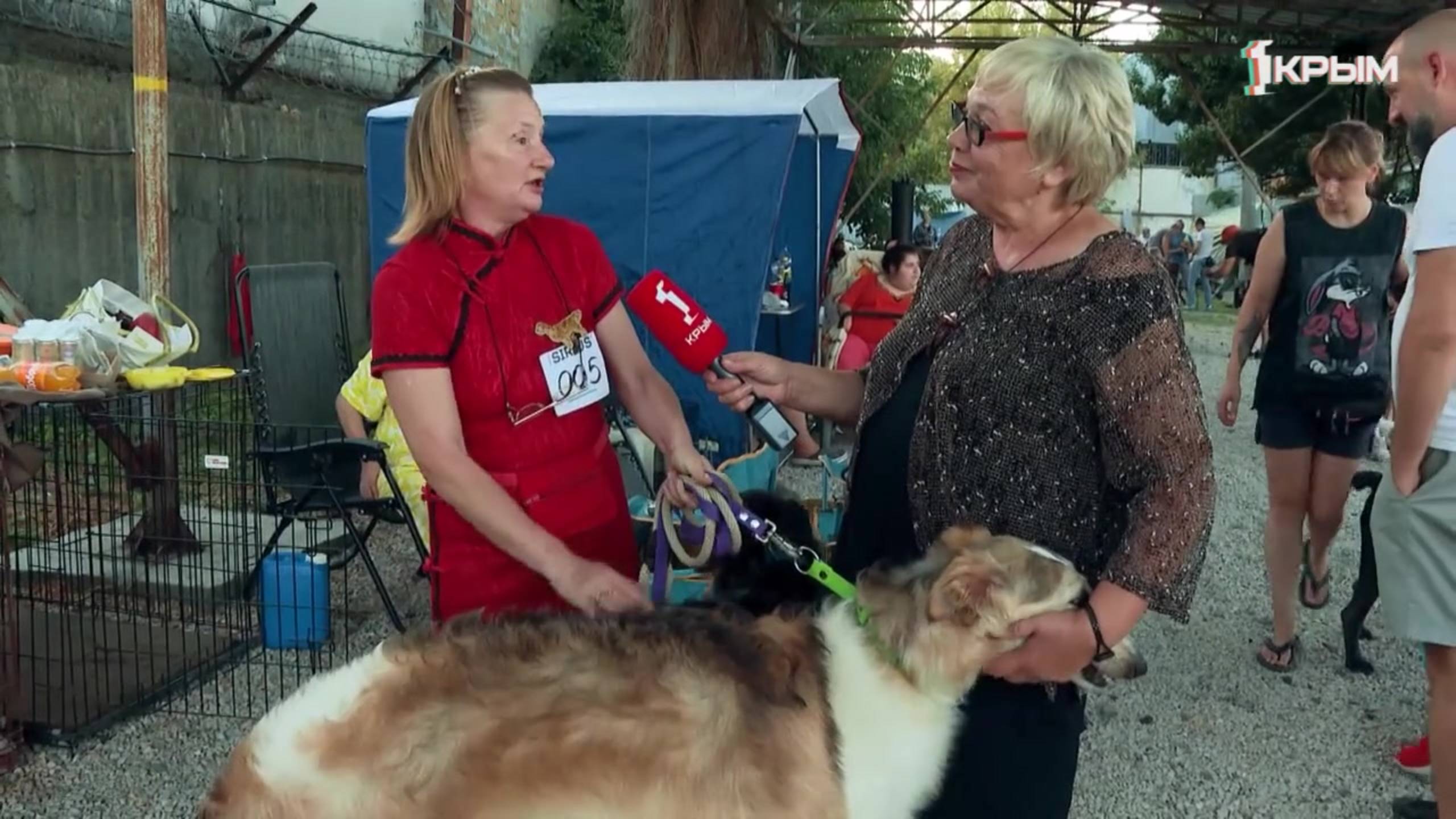 Клуб Шико. Выпуск от 27.09.2025