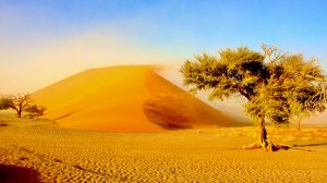 66. Пустыня Намиб, Намибия