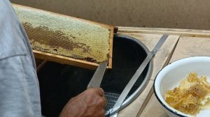 Качаем мёд. Лето 2025