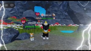 Танец лаванда с Умным кисей