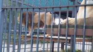 #####!!!!!!!?????🤣🤣🤣🤣🤣🤣🤣