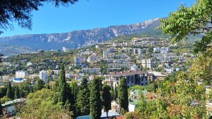 Видео за несколько дней, все подряд)