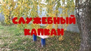 Служебный капкан-2025