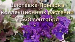 Сходила на Выставку-Ярмарку цветочную, Кишинев! Мои новинки с Выставки!