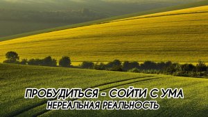 ПРОБУДИТЬСЯ - СОЙТИ С УМА. НЕРЕАЛЬНАЯ РЕАЛЬНОСТЬ