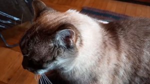 27 сентября 2025. Ещё книги образовались. Жалко их, приходится таскать к себе.