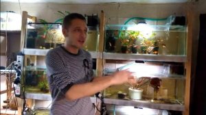 БЮДЖЕТНЫЙ АКВАРИУМ СВОИМИ РУКАМИ