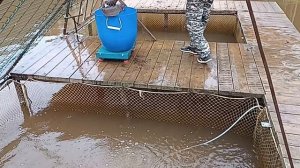 Зарыбление 2025