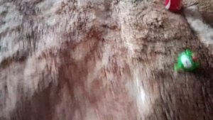 Амнямания Сезон 2: Школа: Серия 2: День Здоровье, Моя Озвучка.