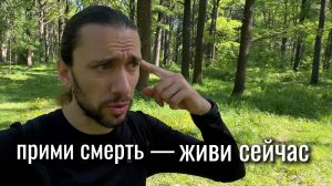СМЕРТЬ КАК УЧИТЕЛЬ: философия Торо о жизни и принятии