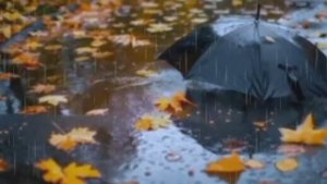 Осенний дождик