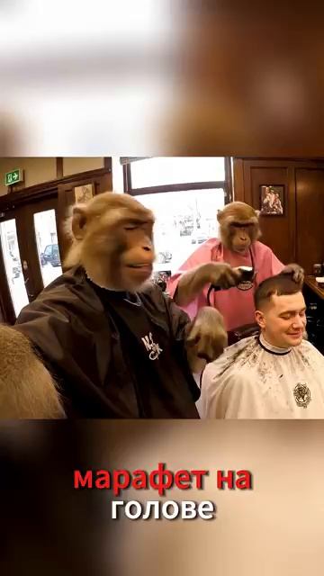 Гоша в барбершопе смотреть онлайн