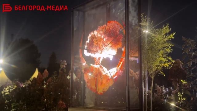 В Белгороде на «Берегах» открылся первый парк скульптур
