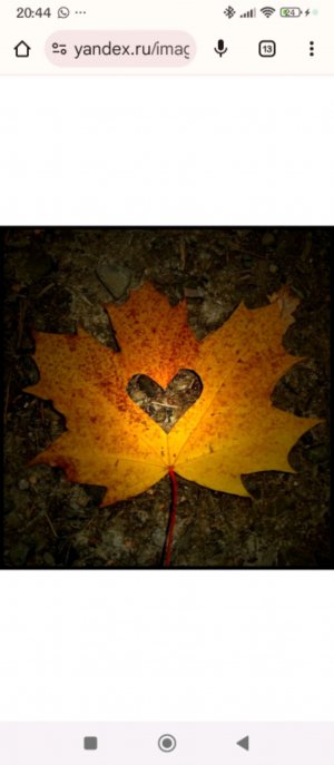 играем в радужные друзья 2