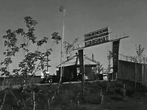 1969 год. Тюмень. Лесобаза.