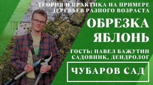 Обрезка яблонь // Теория и практика на примере деревьев разного возраста