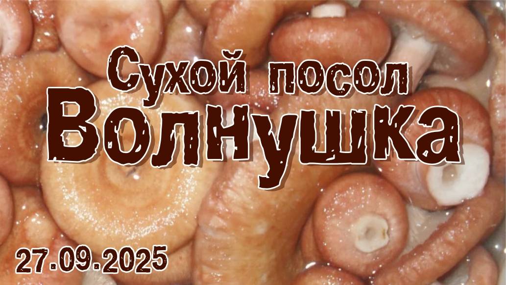 "Волнушка" (сухой посол). 27.09.2025 смотреть онлайн