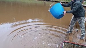 Зарыбление 2025