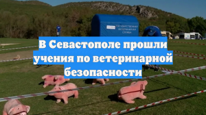 В Севастополе прошли учения по ветеринарной безопасности