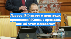 Лавров: РФ знает о попытках провокаций Киева с дронами, они об этом пожалеют