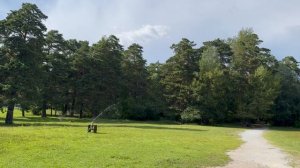 Любимая природа - часть 3