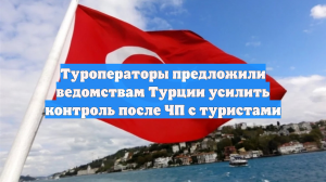 Туроператоры предложили ведомствам Турции усилить контроль после ЧП с туристами