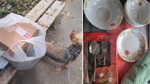 25-26.09.25 г. Болталка. Как изменить имя на рутуб?! Ирина удивила 🥰 спасибо ❤️
