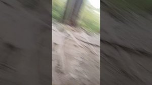 заброшки