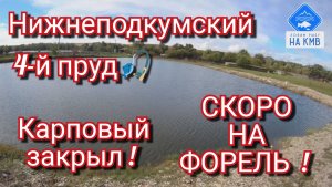 Нижнеподкумский 4-й пруд. Закрытие карпового сезона🎣. СКОРО НА ФОРЕЛЬ😉