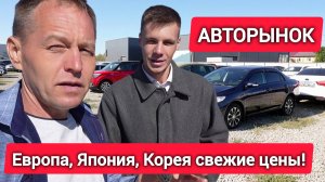ШОК! Подержанные машины: Европа и Япония дешевле новой LADA | Обзор цен на вторичке