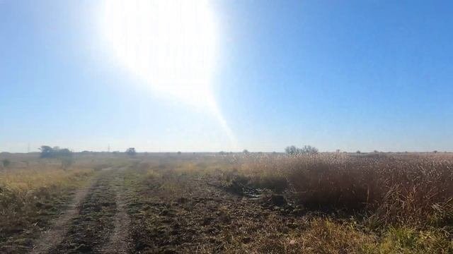 Уходящая вдаль.😊