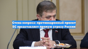 Стена вопроса: противодронный проект ЕС представляет прямую угрозу России