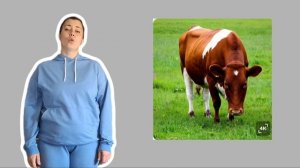 Знакомство с животными.