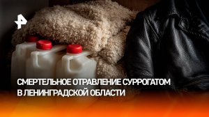 Не менее 19 человек погибли в Ленобласти: производителям суррогата предъявлено обвинение