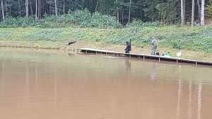 Forest Fishing 27.09.25