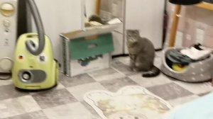 lv_0_20250927225550.mp4