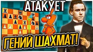 Пол Морфи жертвует ЛАДЬЮ! Королевский гамбит. Шахматы