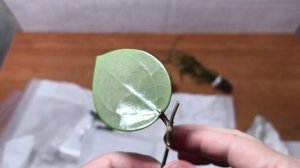 Распаковка новинок!!15.09.25.