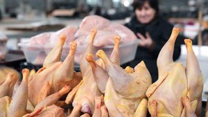 Цена на оптовые закупки тушек цыплят-бройлеров выросла на 34%