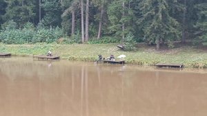Forest Fishing 27.09.25