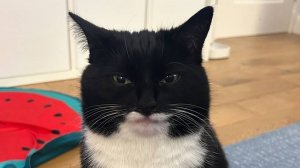 Лабораторная работа #1. Презентация